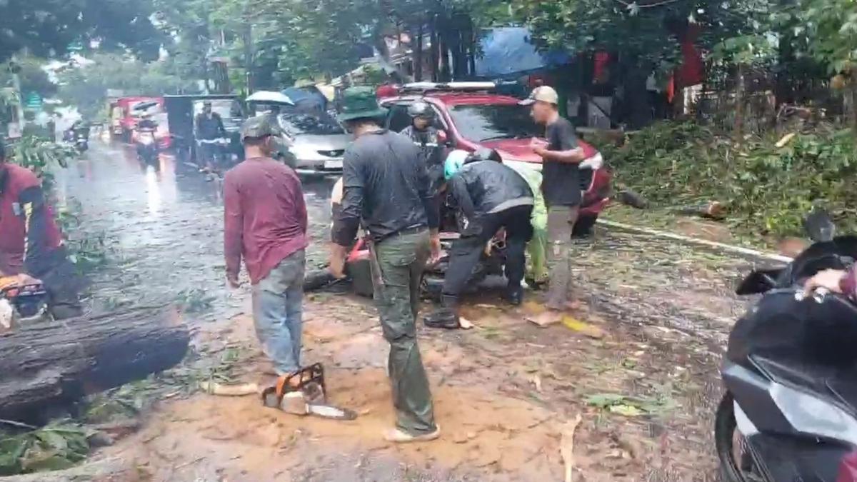 hujan-lebat-penyebab-banjir-dan-pohon-tumbang-di-sawangan-depok-lalu-lintas-terganggu