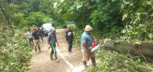 hujan-lebat-penyebab-banjir-dan-pohon-tumbang-di-sawangan-depok-lalu-lintas-terganggu